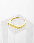 Signet Block Ring in Gold