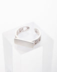 Chain Signet Ring in Matt Silver